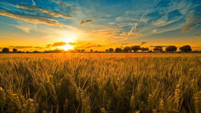 METEO | Vreme caldă de început de toamnă, cu temperaturi care vor urca până la 29 de grade Celsius